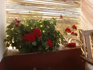 Arcamyrtus Country 酒店 阿尔盖罗
